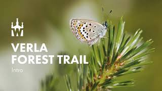 Verla Forest Trail - Welcome