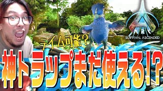 新恐竜「ギガントラプトル」の神トラップはまだ生きていた！？今使えるトラップ解説とテイム中の注意点やバグを解説。【ARK 実況 KTRGaming ARK: Survival Ascended】