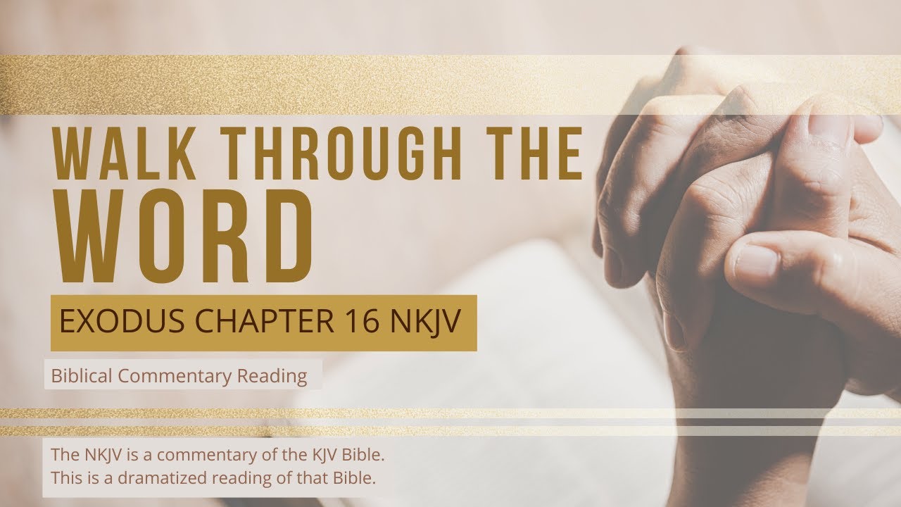Exodus Nkjv Audio Bible Exodus Chapter 16 Youtube