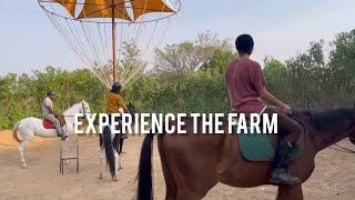 Experience The Sanctity World | Sanctity Ferme | Bangalore