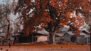 Harud (autumn in kashmir)