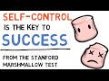 Self control is the key to success. Lessons from the Marshmallow Test