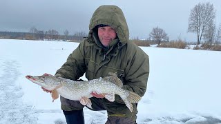 ChumanovFisher - Открытие зимнего сезона и сразу троф.