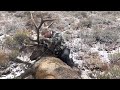 jarbidge nevada elk hunt