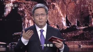 [平“语”近人]什么是真正的大孝和大爱| CCTV