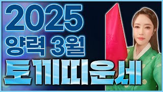 🤍 2025년 3월 토끼띠 운세 🤍