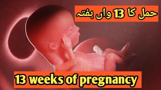 13 week of pregnancy in urdu || @talkabouthealth9675