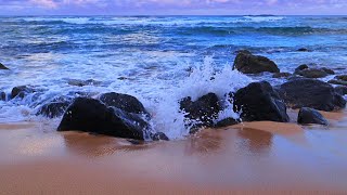 Ocean Sounds for Studying or Working | Focus with Crashing Waves