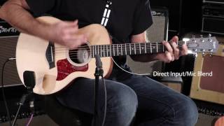 The Taylor Guitars GS-Mini Series  •  Wildwood Guitars