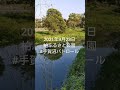 手賀沼パトロール 2021年9月23日　柏ふるさと公園　