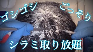 【ASMR】シラミ治療まとめ75分Lice check treatment RP