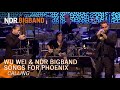 Wu Wei: Songs for Phoenix | Calling | Elbphilharmonie | NDR Bigband