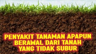 PENYAKIT TANAMAN APAPUN BERAWAL DARI TANAH YANG TIDAK SUBUR