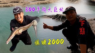 屠宰场搞来100斤羊血打窝800平巨坑，昂贵海鲜聚窝，鱼获价值2000