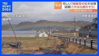 七色の橋が「建物のちょっと上に」貴重な“超低空の虹”が話題に｜TBS NEWS DIG