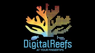 Track E: Digital Reefs // Phase 1 Project Video