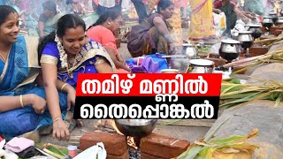 പാലക്കാടും പൊങ്കൽ ആഘോഷം ; തമിഴ്നാട് അതിർത്തി ഗ്രാമങ്ങളിൽ ആഘോഷം | Pongal 2023