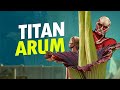 Titan Arum yang Tidak Harum #AlamSemenit