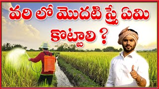 వరిలో మొదటి స్ప్రే ఏమి కొట్టాలి ..? - 9182363925 - మోహన్ ట్రేడర్స్ ఆదోని #paddy #firstspray #వరి