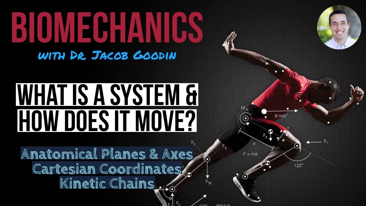 Biomechanics: What Is A System & How Does It Move? Part 1 - YouTube