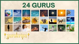 24 Gurus