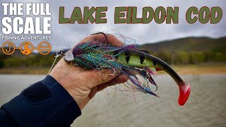 Lake Eildon Murray Cod | The Full Scale