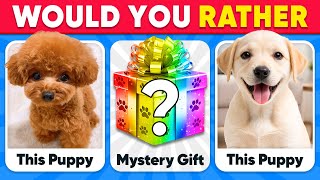 Would You Rather...? MYSTERY Gift πΆπβ ANIMALS Edition