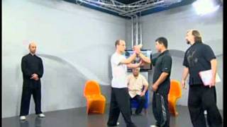 Hong Chuan Chen Shi Taijiquan