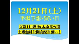 １２月２１日（土）平場予想・買い目・無料