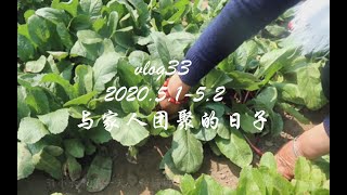 vlog33与家人团聚的日子｜ 51小长假我回家啦！｜ 菜地拔萝卜｜速冻披萨｜农村海岛居民的日常｜拆快递｜吃火锅｜腊肉饭｜