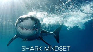 SHARK MINDSET - Powerful Motivational Speech by Walter Bond