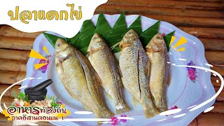 อาหารท้องถิ่นจังหวัดบึงกาฬ EP.3 | ปลาแดกไข่ (กว่าจะได้กิน 3 ปีนะจ๊ะ อร่อยมากขอบอก)