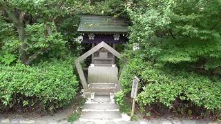 菊の御紋章、神社参拝を行うこと【都内で菊の御紋章に会える神社】