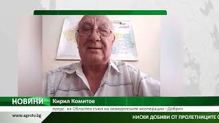 НАПРЕЖЕНИЕ: В Добричко добивите от пролетниците са ниски