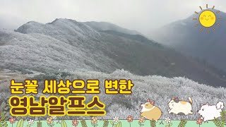 눈꽃 세상 영남알프스