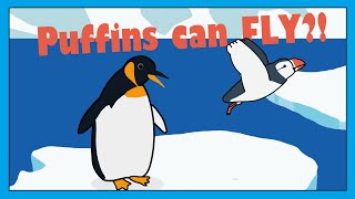 Penguins and Puffins - Fun Similarities And Differences Song For Kids | Smiley Rhymes