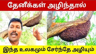 தேனீக்கள் அழிந்தால் இந்த உலகமும் சேர்ந்தே அழியும் | save honey bee