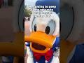 NEW Donald Merch #disney #disneyside #donaldduck