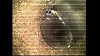 Devito-Barach sewer scope video 07-12-2024