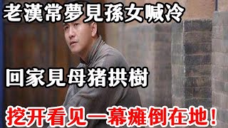 民間故事：老漢常夢見孫女喊冷，回家見母豬拱樹，發現妻子的醜事