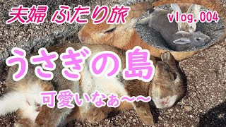 うさぎだらけ！！【うさぎの島（広島大久野島）】癒される可愛いうさぎの島！JAPAN / Rabbit Island/兎/国内旅行