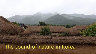 초가지붕에 떨어지는 빗소리, ASMR, The sound of rain falling on the thatched roof,