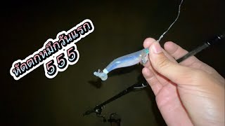 วันแรกของการหัด ตกหมึกชายฝั่ง ประสบการณ์วันแรกคับ squid fishing