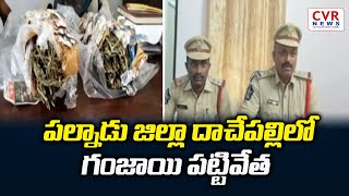 పల్నాడు జిల్లాలో భారీగా గంజాయి పట్టివేత | Ganja Smuggling In Palnadu | CVR NEWS