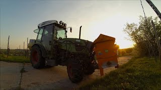 Fendt 210 Vario beim Düngerstreuen im Weinberg