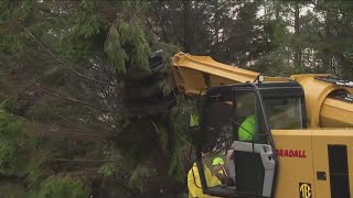 Several downed trees after severe weather hits Coweta County