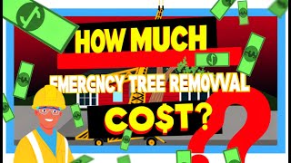 How much does emergency tree removal cost?