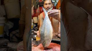 Amazing Super Fast Hilsa (ilish) Fish Cutting Live Video In Market | Fish Cutting Technique and Tips