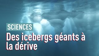 Pourquoi les icebergs se détachent de la banquise?
