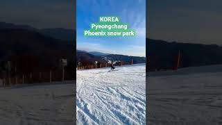 韓国平昌Phoenix snow parkでスキー⛷✨ #snow #sports #ski #winter #leisure #雪 #phoenix #pyeongchang #平昌